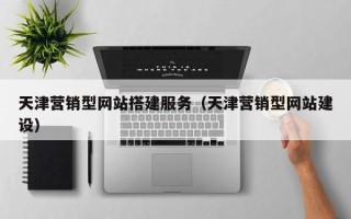 延边天津营销型网站搭建服务（天津营销型网站建设）
